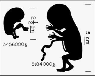 Illustration for article titled This awesome image may be found by aliens one day, floating in space